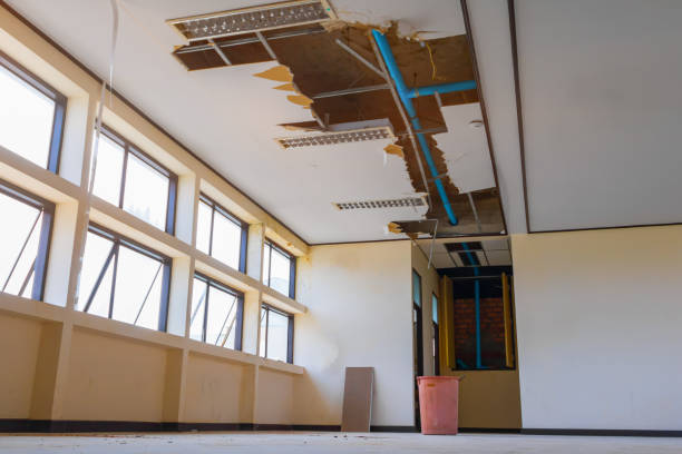 Best Professional water damage repair  in Hyrum, UT
