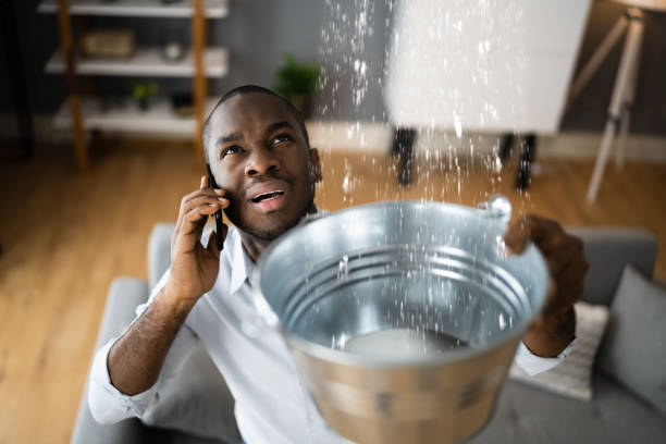 Best Ceiling water damage repair  in Hyrum, UT