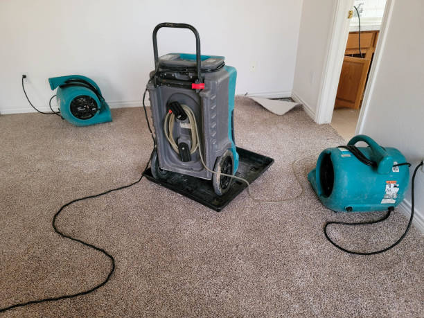 Best Ceiling water damage repair  in Hyrum, UT