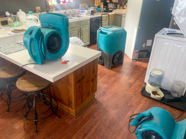 Best Flooded house restoration  in Hyrum, UT