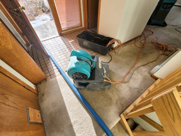 Best Water damage cleanup near me  in Hyrum, UT