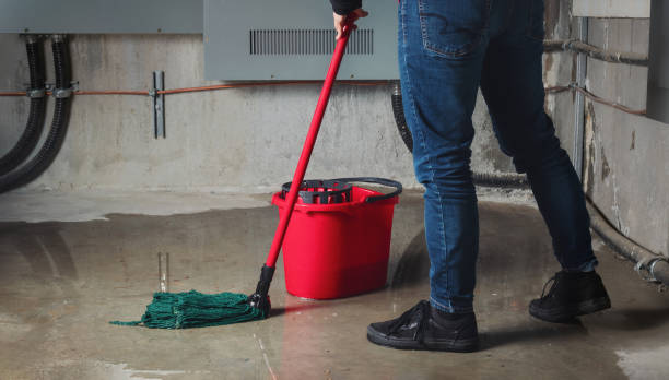 Best Fire Damage Restoration  in Hyrum, UT