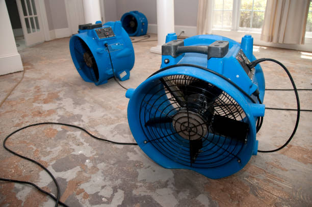 Best Water damage contractors near me  in Hyrum, UT