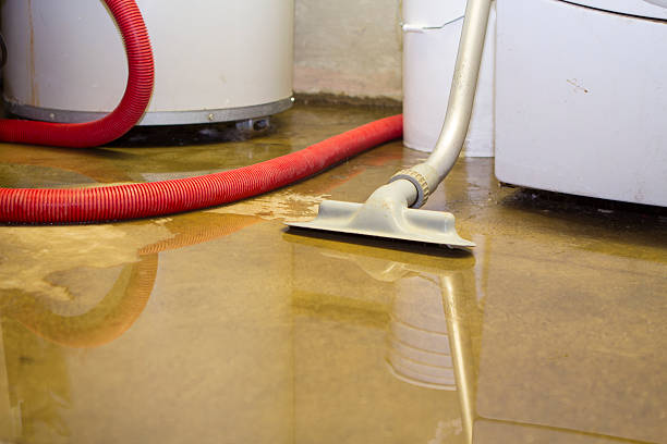 Best Local water damage restoration  in Hyrum, UT