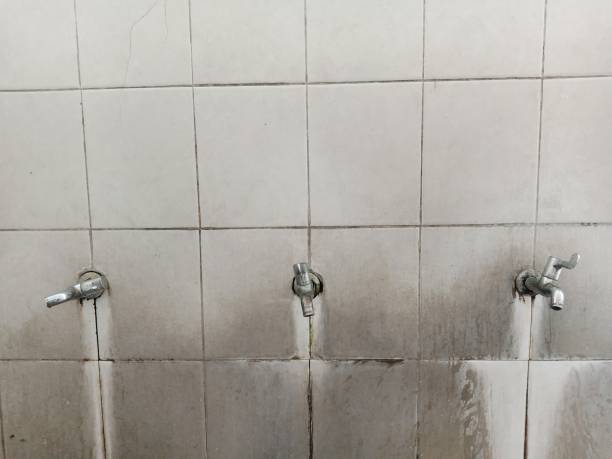 Best Mold removal after water damage  in Hyrum, UT