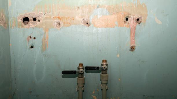 Best Carpet water damage restoration  in Hyrum, UT