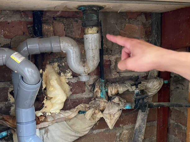 Best Basement water damage restoration  in Hyrum, UT