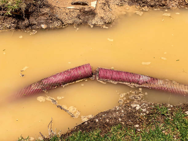 Best Water damage cleanup near me  in Hyrum, UT