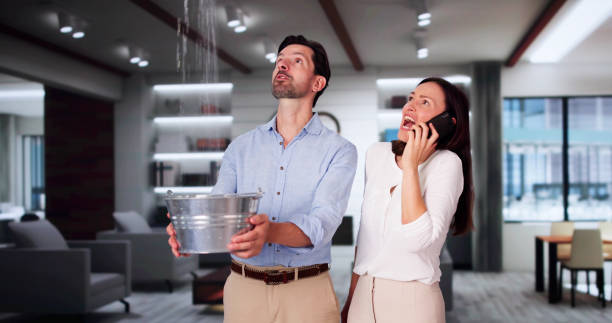 Best Commercial water damage restoration  in Hyrum, UT