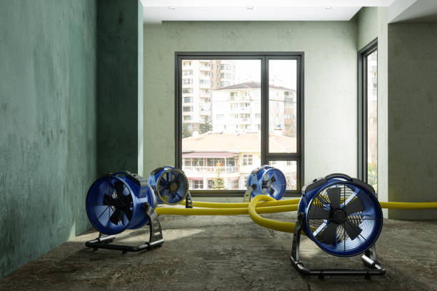 Best Fire Damage Restoration  in Hyrum, UT